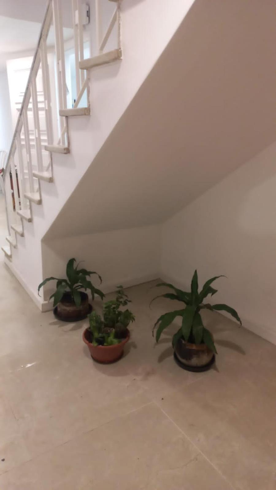 Espaco Semente Poa Lirio Porto Alegre Exterior foto